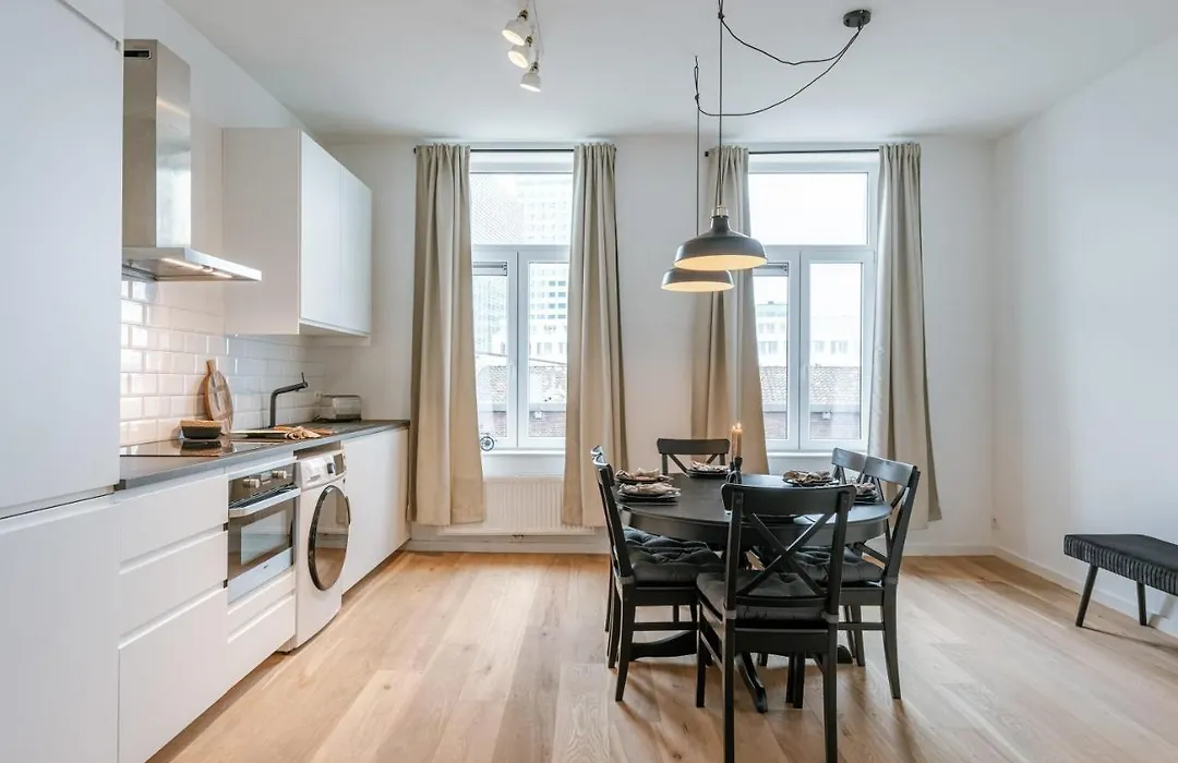 Modern Apartment In The City Of Antwerp-1