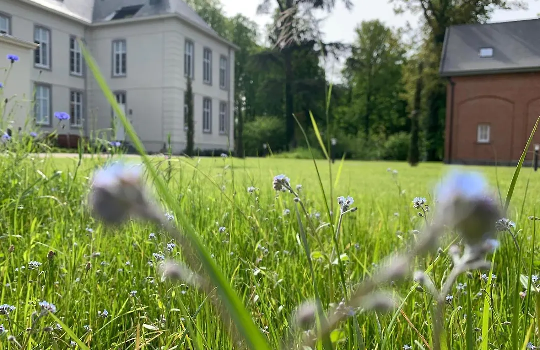 De Lotuspoort met Mihr's B&B in de Abdij van Bornem-1