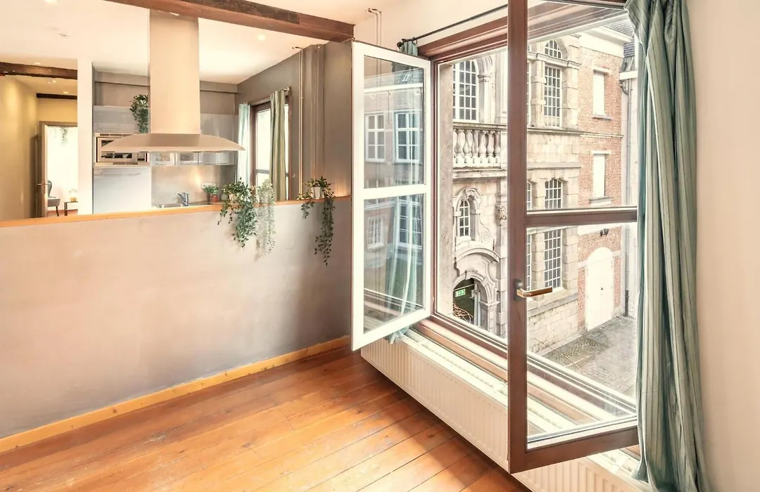 Old Town Lodge Antwerp Apartment-1