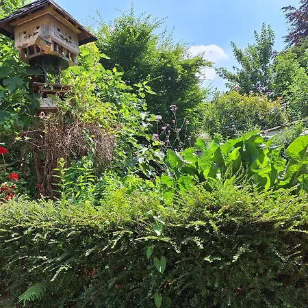 Bed & Breakfast Exterlaer-2