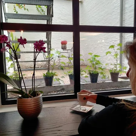 B In Antwerp-2
