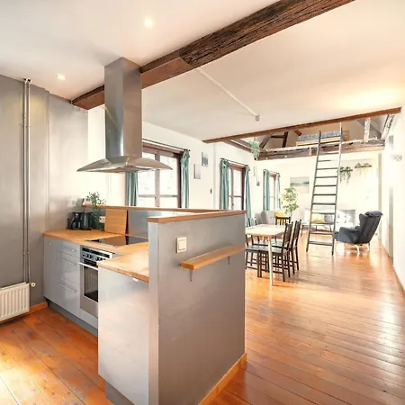 Old Town Lodge Antwerp Apartment-3
