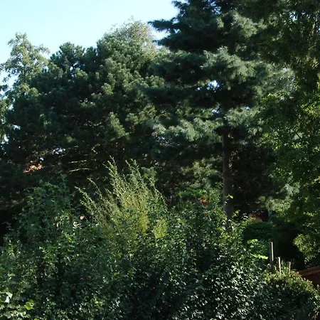 B&B Garden55-3