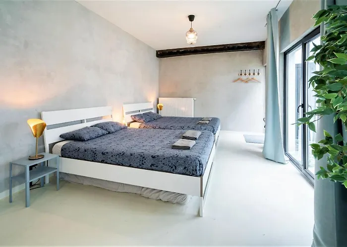 Antwerp Central Residence admite animales