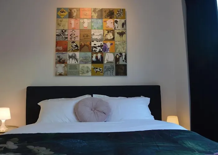 Hippe Studio In Historisch Gebouw In Oude Centrum Anvers acceptant les animaux