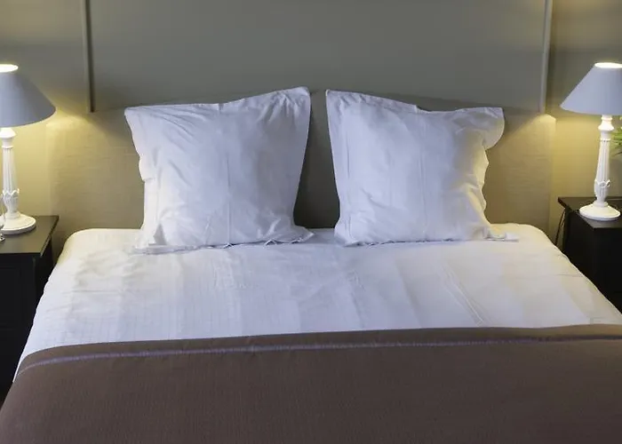 Hotel Hippocampus Mol
