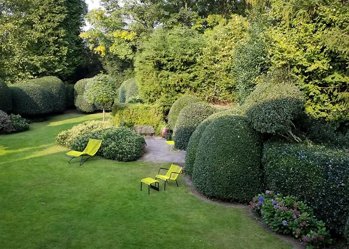 B&B Veado Turnhout